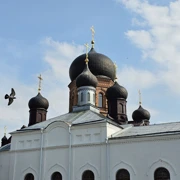 Введенский остров и Чёрное озеро. Однодневный поход в Подмосковье поход, изображение 1