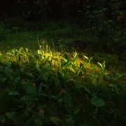 Большая Валдайской тропе поход, изображение 4